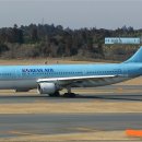 A300 Daum카페