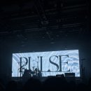 연우기분좋은날 | [콘서트] <250815> 너드커넥션 SUMMER LIVE, PULSE