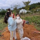 블루베리관광농원 베리굿 오토캠핑장 이미지