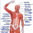 팀에이치짐 이미지