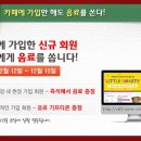 Flash Wall 이미지