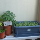 승현이네 이미지