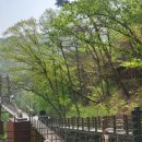 율리 휴양촌 이미지