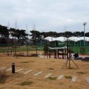 매송체육공원 축구장 이미지