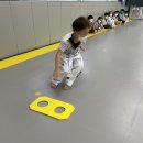 용인대지노태권스쿨 이미지