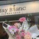 아산 프로포즈·졸업식 꽃다발의 베스트 픽! 메이블랑플라워 솔직후기💐