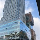 도봉 애견 미용앤호텔 | 도봉구 애견카페 포레스트 창동 호텔링 솔직후기