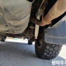 붕따우게러지 이미지