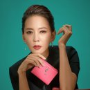 디어레이디(DEAR LADY)