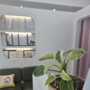 도로시뷰티 이미지