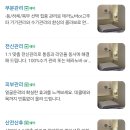 올바른연구소 이미지