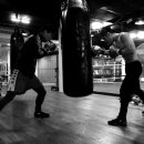 코리안 복싱클럽 이미지