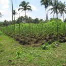 유익농장 이미지