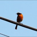 동산국밥 이미지