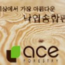 그린임업