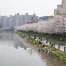 삼산초등길 네이버블로그
