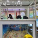 GS25수지죽전점 네이버블로그