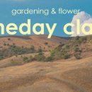 [10/24]플라워 클래스-화병 꽂이 이미지