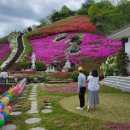 산청 "대명사" 봄 나들이[2025년 4월 18일(음:3월 24일) 일출 05시:56분.일몰19시 09분] 이미지