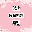 하양골든24시 | 경산시 동물병원 추천 잘하는곳 24시 후기 야간진료 주말 가격 비용