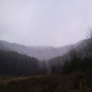 삼태산 농장 이미지