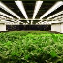 제창농장 이미지