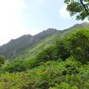 용수골농원