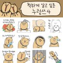 착하개 이미지