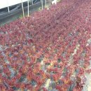 재성농장 이미지