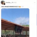 뭐임? 대만 훈련하는데 김도영 푸른산호초 틀어놧대 이미지