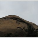 동산농장(2) 이미지