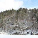 햇살이 가득한 집 펜션 이미지