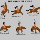 룰루랄라 이미지