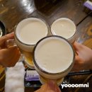 코코로팡 | [일본 도쿄 고토구/야키토리 하나] 숙소 근처 현지인맛집! 내돈내산 고토구 이자카야 리뷰
