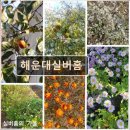 행복한실버홈 | 부산 요양원 요양센터 추천정보 해운대실버홈 해운대실버홈, 최우수 요양원