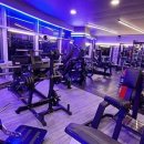 알앤비 휘트니스 이미지