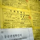 성풍정육점