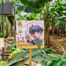 몽키바나나 이미지