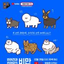 닥터펫 동물의료센터 이미지