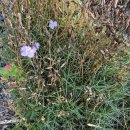 마음애고향 이미지