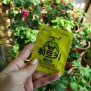 (주)에스티알바이오텍 이미지