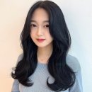 포레스트헤어 네이버블로그
