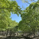 고산환경 | 전주 근교 고산 자연휴양림 후기 계곡 캠핑 가족 나들이 추천