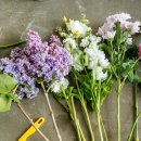 힐링꽃꽂이 이미지