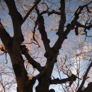 남양주축산업협동조합 이미지