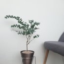 수경꽃집 이미지