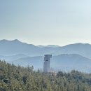 겨울의 사유원: 자연에 건축을 담다 (알바로 시자, 승효상)
