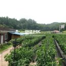 아리랑 공인중개사사무소 이미지