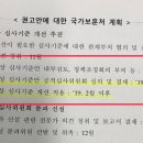 홍뿌리 이미지