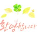 용인초등학교 네이버블로그